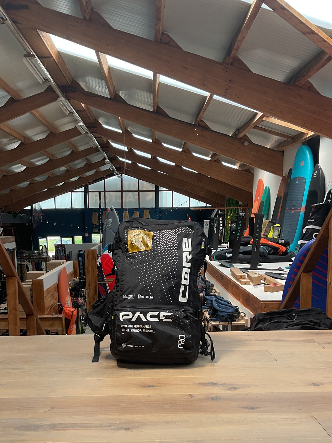 Pace Pro 2 6m - Used #tkf355W