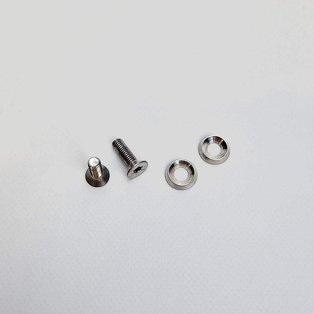 ROODE Binding Screw RVS