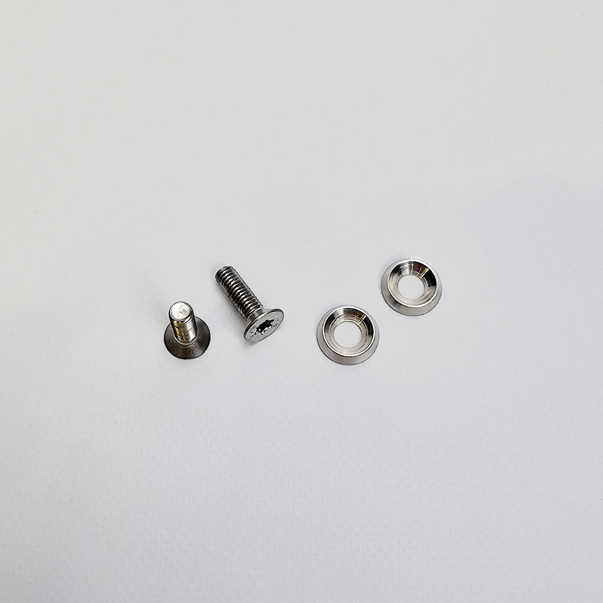 ROODE Binding Screw RVS