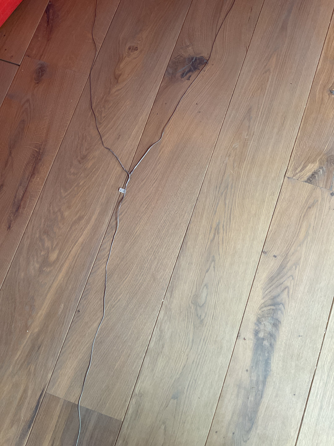 Dice 10m - Used