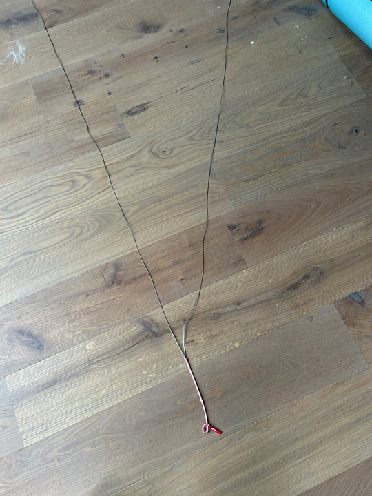 WhisperModel 17m - Demo